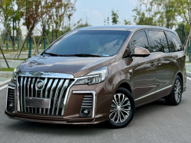 别克GL8 2021款 陆上公务舱 652T 舒适型