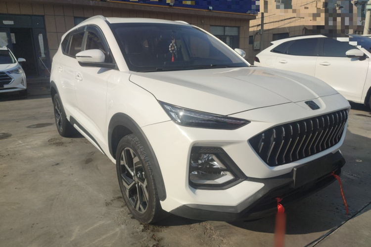 思皓X8 2021款 300T DCT豪华智联版 5座车身外观6002