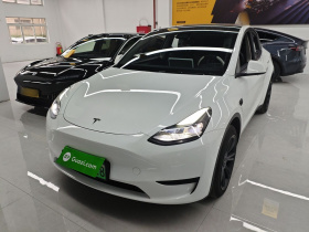 特斯拉 Model Y 2024款 后轮驱动版