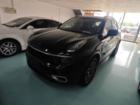 领克01 2020款 2.0T 两驱纯Pro版 国VI