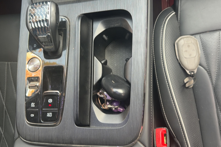 广汽传祺 传祺GS8 2022款 双擎系列 2.0TM 四驱尊贵版 （七座）局部细节18