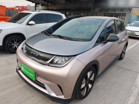 比亚迪 海豚 2021款 401km 骑士版