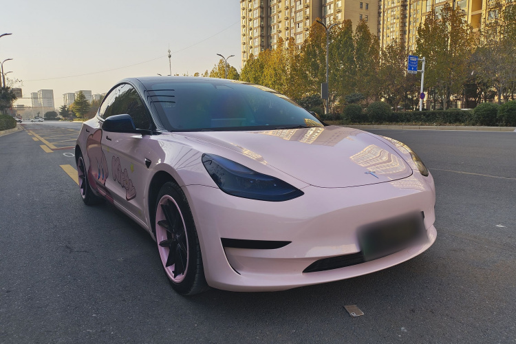 特斯拉 Model 3 2021款 标准续航后驱升级版 3D6车身外观6003