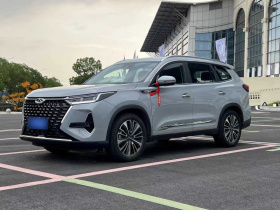 奇瑞 瑞虎8 PRO 2022款 390T 两驱浩瀚版 5座