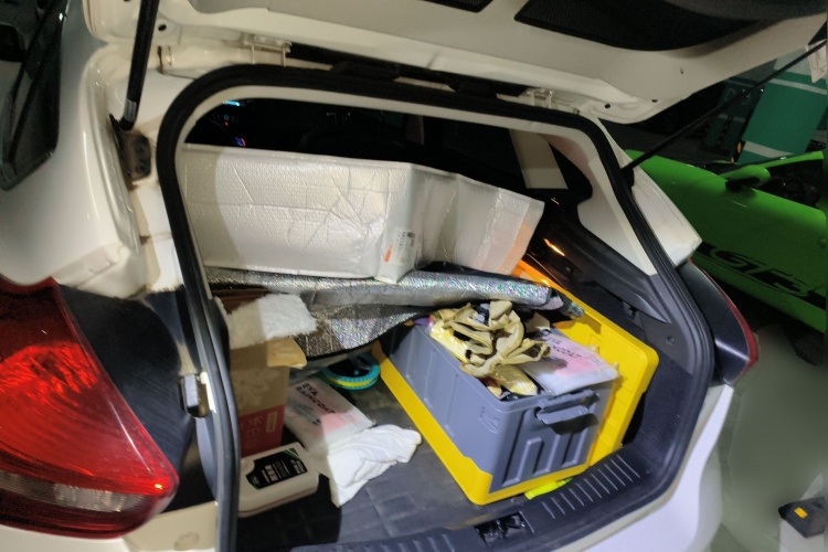 福特 福克斯 2015款 两厢 EcoBoost 180 自动精英型中控内饰23