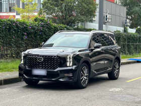 广汽传祺 传祺GS8 2022款 领航系列 2.0TGDI 两驱豪华智联版（七座）