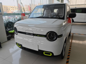 吉利银河 熊猫 2025款 210km 元气熊