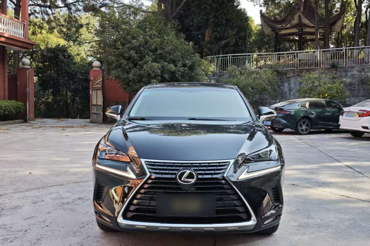 雷克萨斯NX 2018款 200 前驱 锋行版 国V车身外观6001