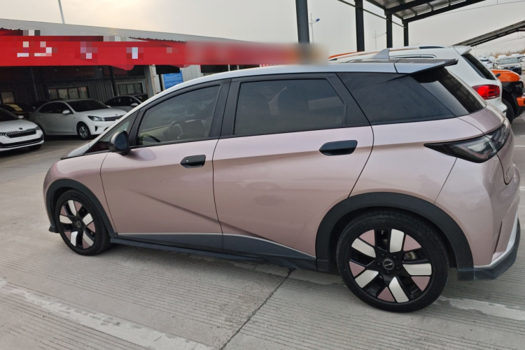 比亚迪 海豚 2021款 401km 骑士版车身外观6003