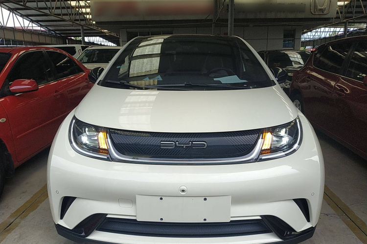 比亚迪 海豚 2023款 420km 时尚版车身外观2