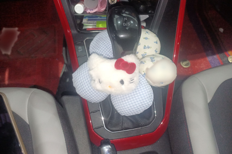 大众 Polo 2019款 Plus 1.5L 自动全景乐享版局部细节18