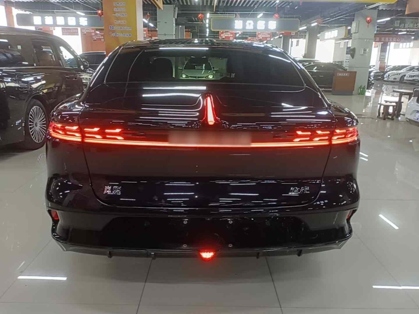 岚图汽车 岚图追光 2024款 PHEV 四驱超长续航旗舰版(4)