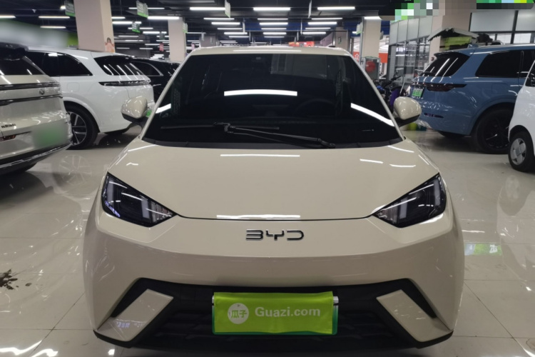 比亚迪 海鸥 2024款 荣耀版 305km 活力版车身外观2