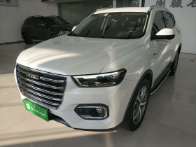 哈弗H6 2019款 1.5GDIT 自动豪华智联版 国V