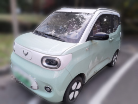 五菱汽车 宏光MINIEV 2024款 第三代 215km 进阶版