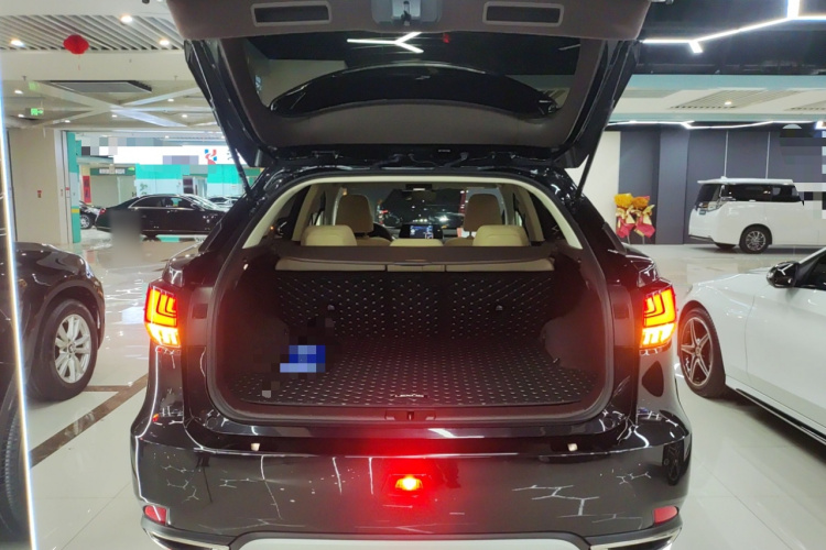 雷克萨斯RX 2020款 300 两驱精英版 国VI机舱底盘23