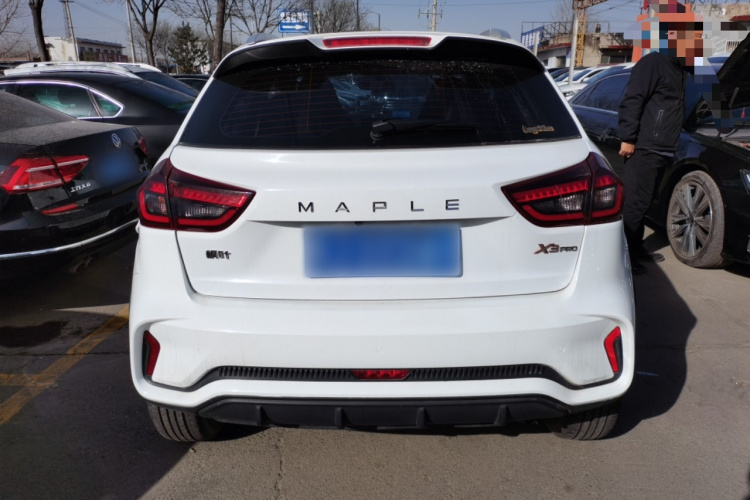 睿蓝汽车X3 PRO 2022款 1.5L CVT小飒车身外观6