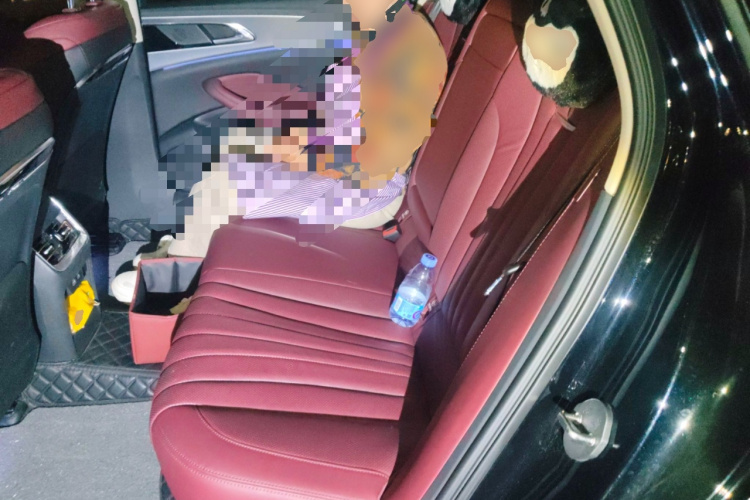 红旗H5 2024款 2.0T 自动智联旗畅版中控内饰21