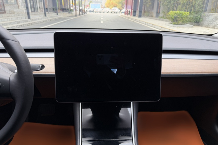 特斯拉 Model 3(进口) 2019款 长续航后驱版中控内饰7007