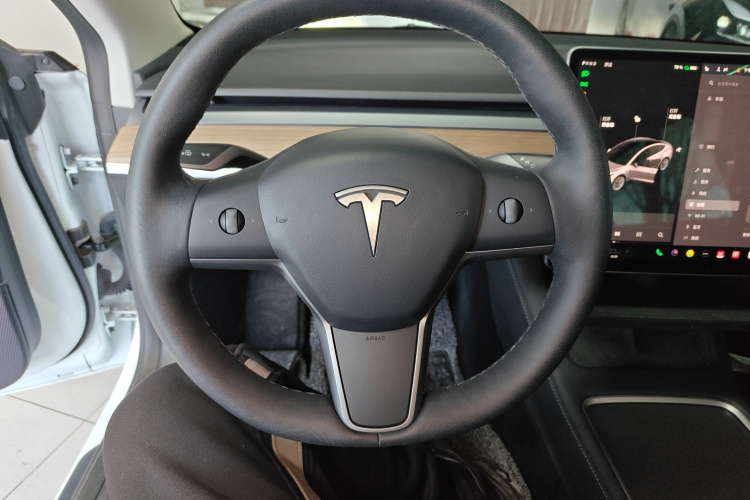 特斯拉 Model 3 2021款 标准续航后驱升级版 3D6局部细节13