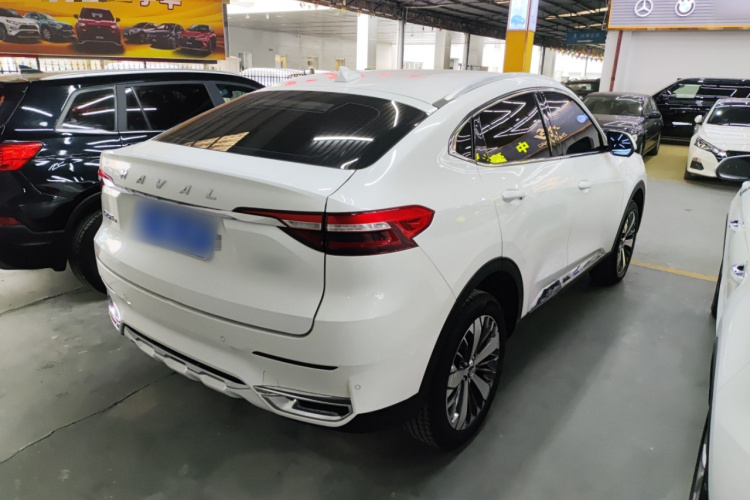 哈弗F7x 2019款 1.5T 两驱极智潮玩版车身外观6005