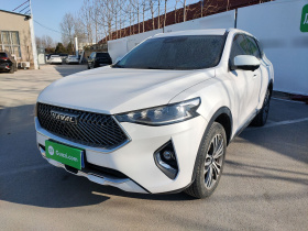 哈弗F7 2021款 2.0T 两驱i动