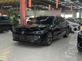 大众 帕萨特 2025款 Pro 380TSI 龙耀版