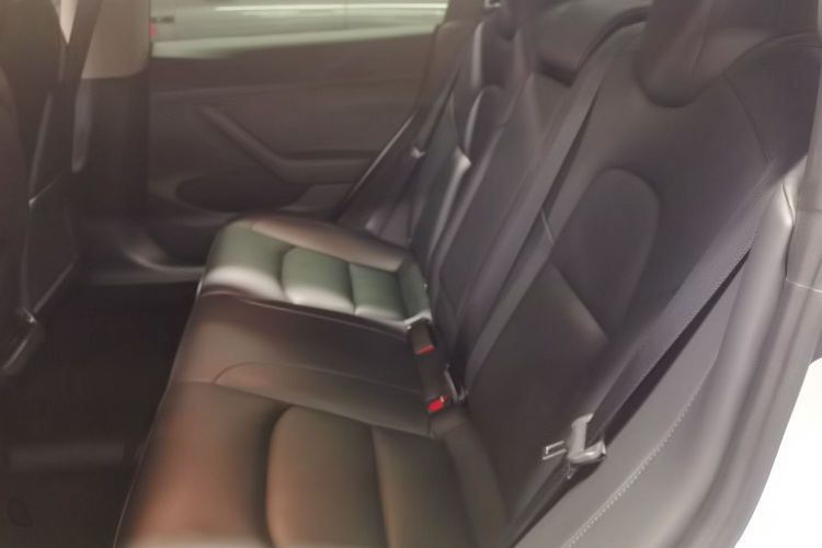 特斯拉 Model 3 2021款 标准续航后驱升级版 3D6中控内饰7004