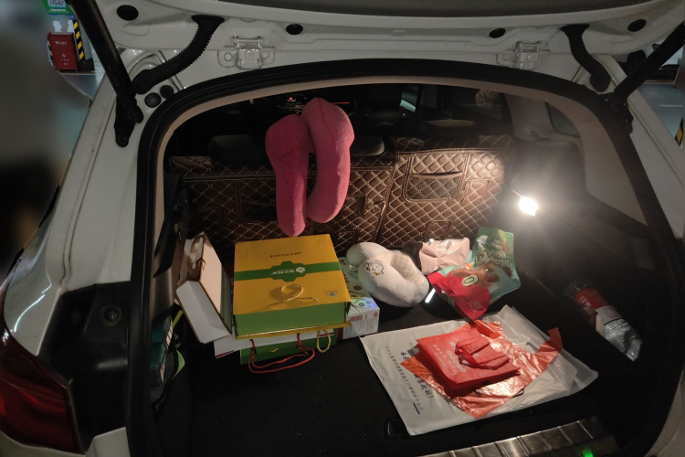 宝马X1 2019款 sDrive20Li 领先型局部细节23