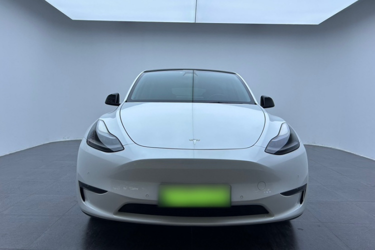 特斯拉 Model Y 2021款 Performance高性能全轮驱动版车身外观6005