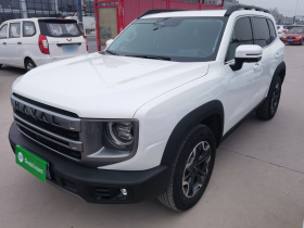 哈弗大狗 2024款 2.0T DCT中华田园犬版