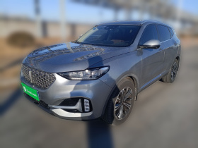 魏牌 VV6 2021款 2.0T 两驱智享+