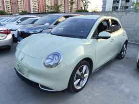 欧拉好猫 2023款 401km标准续航 舒享型 磷酸铁锂