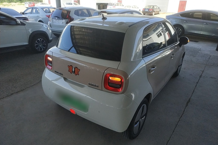 欧拉黑猫 2022款 301km 基础型 三元锂车身外观7