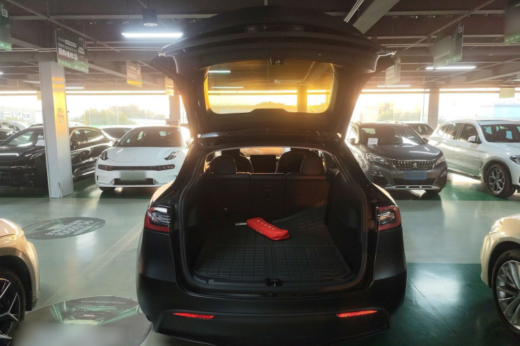 特斯拉 Model Y 2021款 长续航全轮驱动版 3D7局部细节23