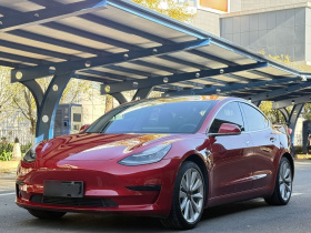 特斯拉 Model 3 2020款 标准续航后驱升级版