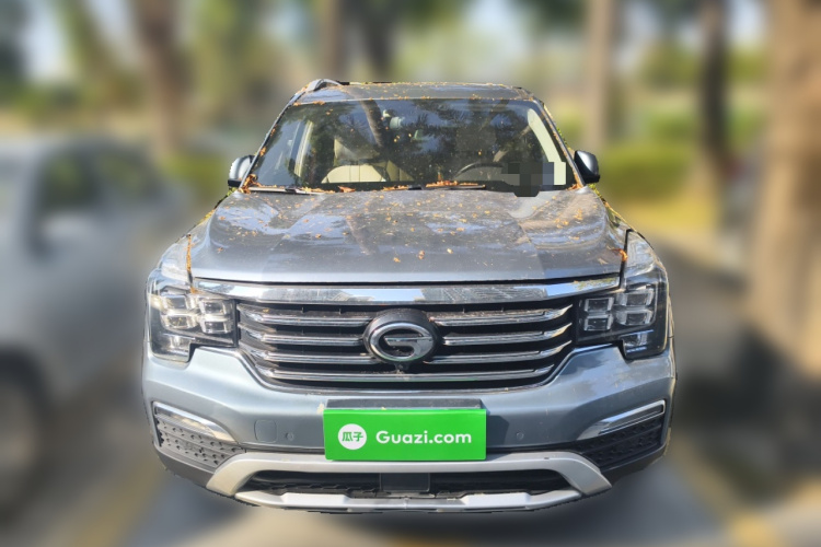 广汽传祺 传祺GS8 2017款 320T 两驱豪华智联版（七座）车身外观6001