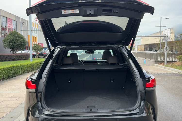 雷克萨斯RX 2023款 350h 四驱醇享版局部细节23