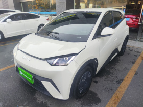 比亚迪 海鸥 2025款 305km 活力版