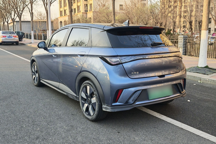 比亚迪 海豚 2023款 401km 骑士版车身外观6005