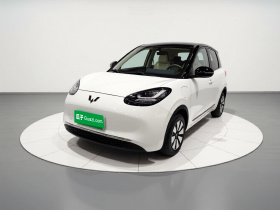 五菱汽车 五菱缤果 2024款 333km 灵犀互联款