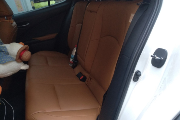 雷克萨斯UX新能源 2020款 300e 纯·悦版中控内饰7004