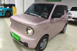 吉利银河 2024款 熊猫mini 200km 耐力熊