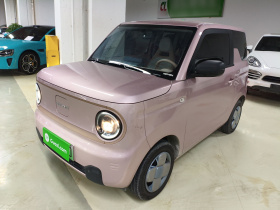 吉利银河 2024款 熊猫mini 200km 耐力熊