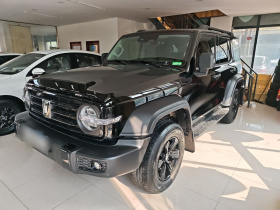 坦克300 2024款 2.0T 挑战者