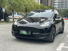 特斯拉 Model Y 2021款 标准续航后驱版