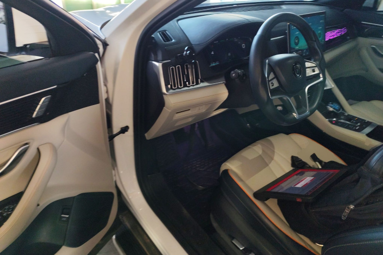 比亚迪 宋PLUS新能源 2021款 EV 旗舰型中控内饰20