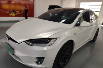 特斯拉 Model X 2019款 长续航版