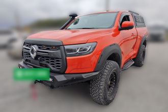 长城 2021款 2.0T火炮版GW4C20B