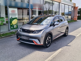 比亚迪 海豚 2021款 405km 时尚版